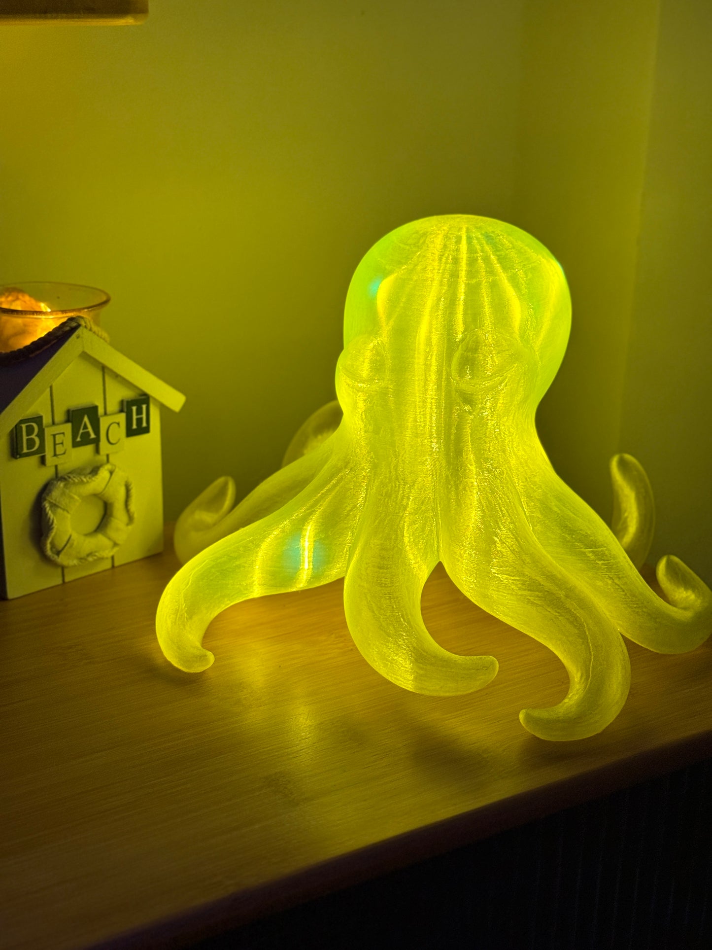 Octopus Fair Light